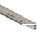 Msi LVT Trim LVT Bembridge, 2.75 in W x 94 in L, 0.75 in Thick ZOR-LVT-TR-0437 - alternate 2